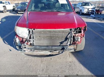 Lot #3053062925 2009 FORD ESCAPE XLT