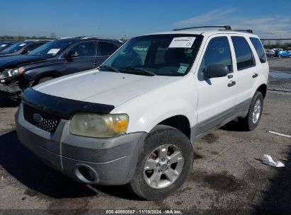 Lot #2997779967 2005 FORD ESCAPE XLT