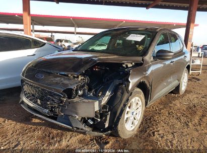 Lot #3034053810 2020 FORD ESCAPE SE