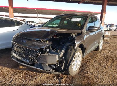 Lot #3034053810 2020 FORD ESCAPE SE