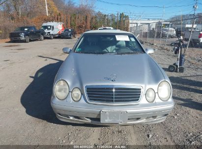 Lot #2995293610 2003 MERCEDES-BENZ CLK 320