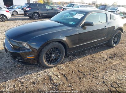 Lot #3035070695 2014 FORD MUSTANG V6