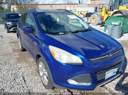 Lot #3035082478 2014 FORD ESCAPE SE