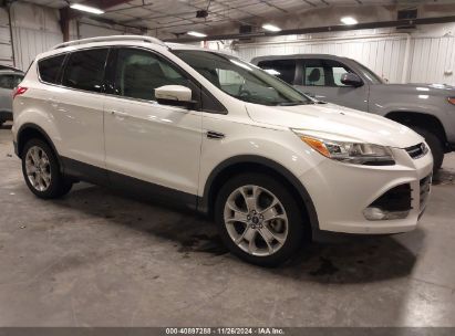 Lot #3053062504 2014 FORD ESCAPE TITANIUM