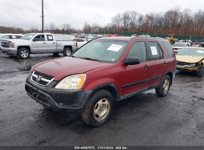 Lot #2995293510 2002 HONDA CR-V LX