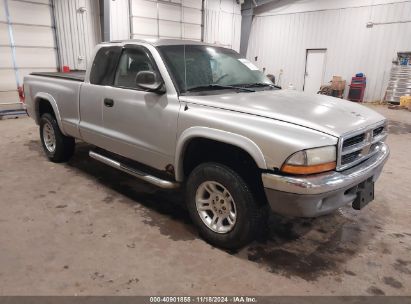 Lot #2997780096 2002 DODGE DAKOTA SLT