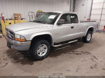 Lot #2997780096 2002 DODGE DAKOTA SLT