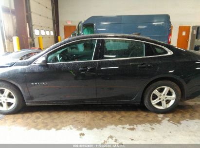 Lot #3037525365 2020 CHEVROLET MALIBU FWD LS