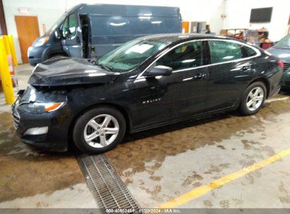 Lot #3037525365 2020 CHEVROLET MALIBU FWD LS