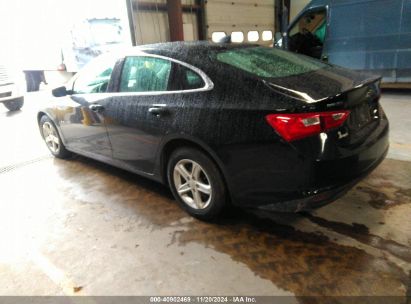 Lot #3037525365 2020 CHEVROLET MALIBU FWD LS