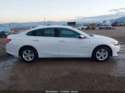 Lot #2994068059 2023 CHEVROLET MALIBU FWD 1LT