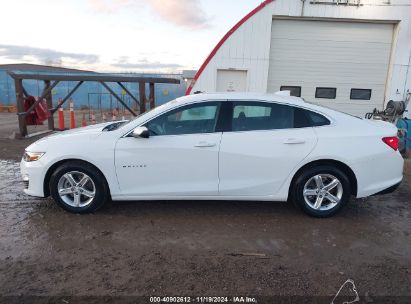 Lot #2994068059 2023 CHEVROLET MALIBU FWD 1LT