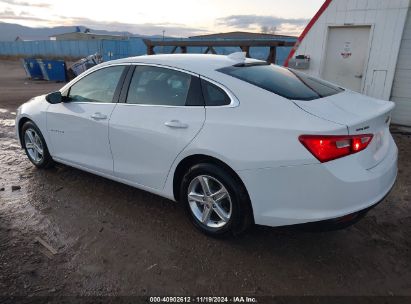 Lot #2994068059 2023 CHEVROLET MALIBU FWD 1LT