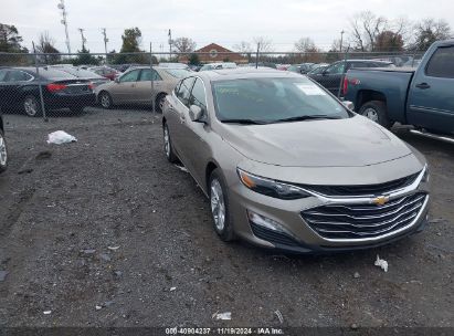 Lot #2992833974 2024 CHEVROLET MALIBU FWD 1LT