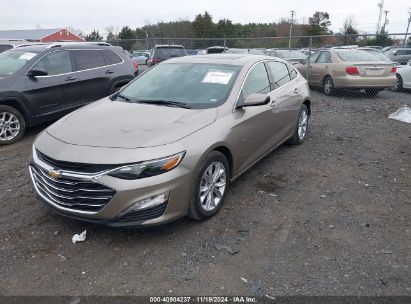 Lot #2992833974 2024 CHEVROLET MALIBU FWD 1LT