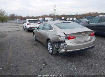 Lot #2992833974 2024 CHEVROLET MALIBU FWD 1LT