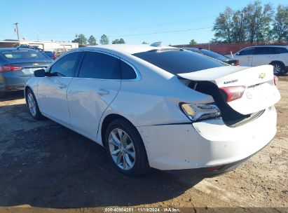 Lot #2995301255 2019 CHEVROLET MALIBU LT