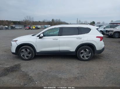 Lot #2992833962 2023 HYUNDAI SANTA FE SEL