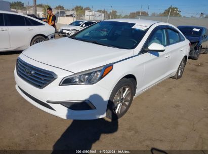 Lot #3035093937 2017 HYUNDAI SONATA