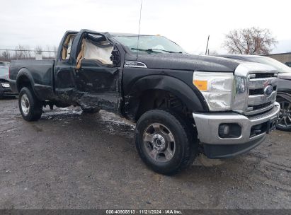 Lot #3046377691 2016 FORD F-250 XLT