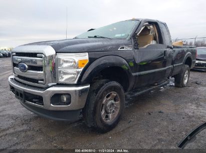 Lot #3046377691 2016 FORD F-250 XLT