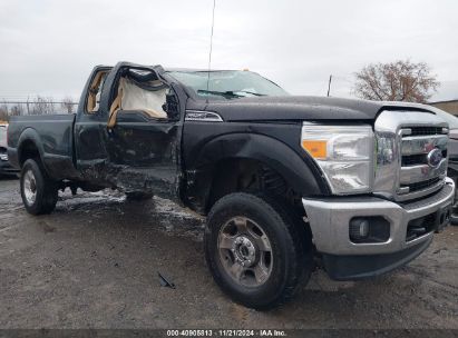 Lot #3046377691 2016 FORD F-250 XLT