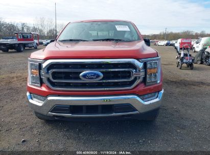 Lot #3035070790 2023 FORD F-150 XLT