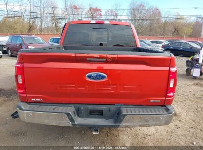 Lot #3035070790 2023 FORD F-150 XLT