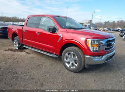 Lot #3035070790 2023 FORD F-150 XLT