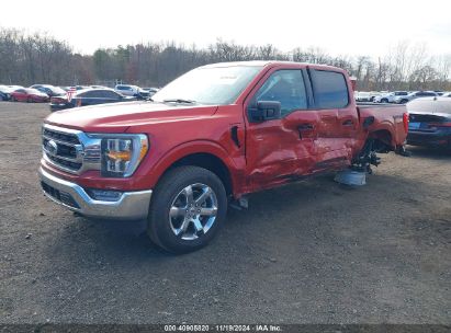 Lot #3035070790 2023 FORD F-150 XLT