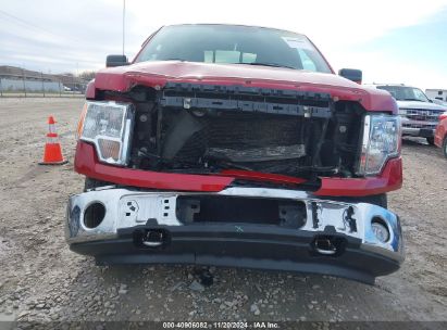 Lot #3018514094 2009 FORD F-150 FX4/LARIAT/XL/XLT