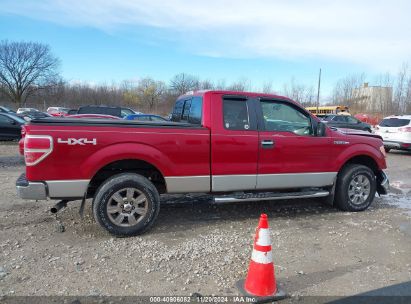 Lot #3018514094 2009 FORD F-150 FX4/LARIAT/XL/XLT