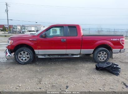 Lot #3018514094 2009 FORD F-150 FX4/LARIAT/XL/XLT