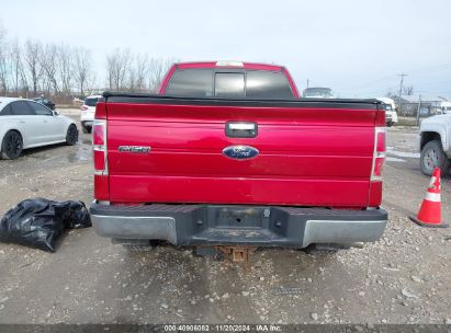 Lot #3018514094 2009 FORD F-150 FX4/LARIAT/XL/XLT