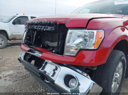 Lot #3018514094 2009 FORD F-150 FX4/LARIAT/XL/XLT