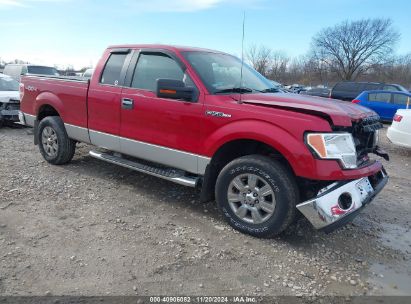 Lot #3018514094 2009 FORD F-150 FX4/LARIAT/XL/XLT