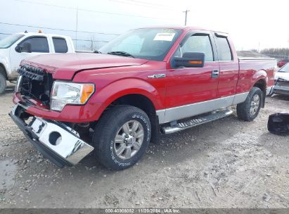 Lot #3018514094 2009 FORD F-150 FX4/LARIAT/XL/XLT