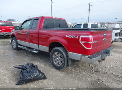 Lot #3018514094 2009 FORD F-150 FX4/LARIAT/XL/XLT