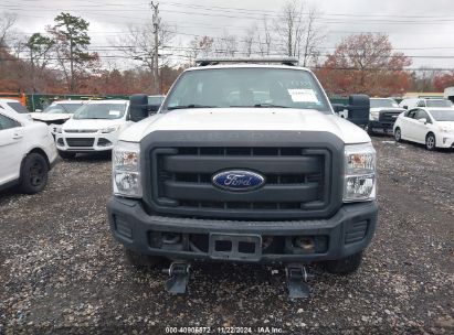 Lot #3005343848 2013 FORD F-250 XL