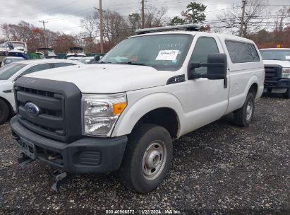 Lot #3005343848 2013 FORD F-250 XL