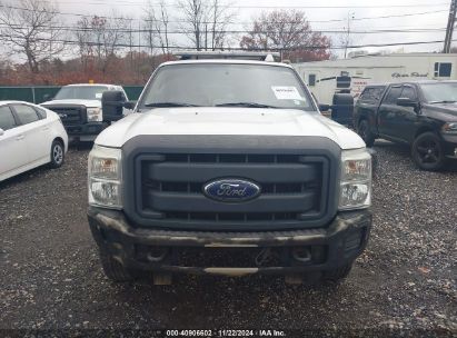 Lot #3005343845 2013 FORD F-250 XL