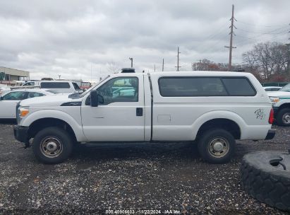 Lot #3005343845 2013 FORD F-250 XL