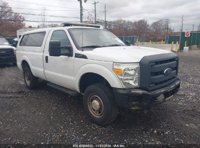 Lot #3005343845 2013 FORD F-250 XL