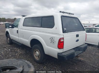 Lot #3005343845 2013 FORD F-250 XL