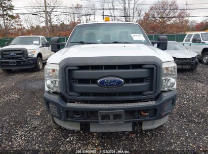 Lot #3005343843 2013 FORD F-250 XL