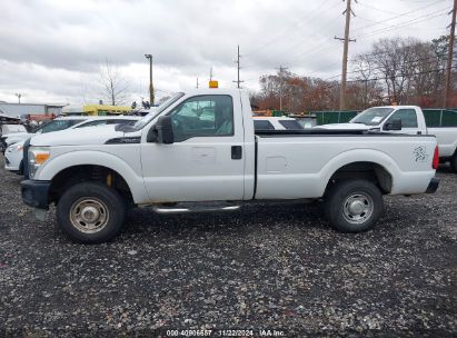 Lot #3005343843 2013 FORD F-250 XL