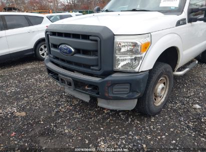 Lot #3005343843 2013 FORD F-250 XL