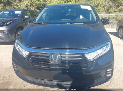 Lot #2992828851 2023 HONDA ODYSSEY ELITE