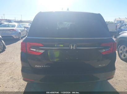 Lot #2992828851 2023 HONDA ODYSSEY ELITE