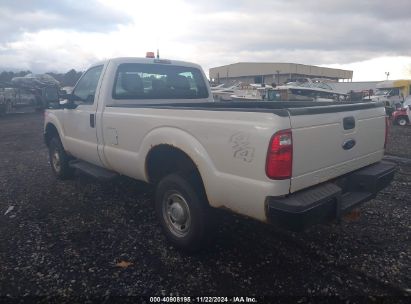 Lot #3005343816 2015 FORD F-250 XL